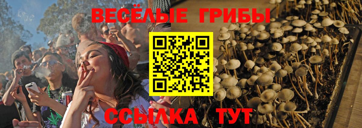 Галлюциногенные грибы мухоморы  Вход с VPN  Курчалой 