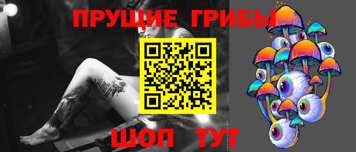 Псилоцибиновые грибы Psilocybine cubensis Курчалой